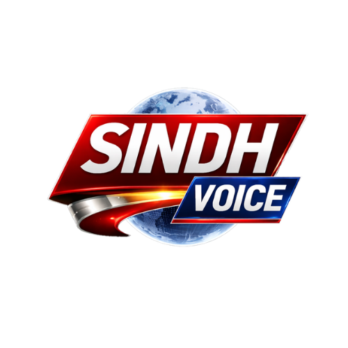 SINDH VOICE